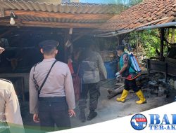 Polres Bangka bersama Dinas Peternakan melaksanakan Kegiatan penyemprotan disinfektan Di seputaran Kandang Sapi