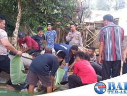 Polsek Simpang Teritip Laksanakan Pemotongan Hewan Qurban Di Sela Menjaga Keamanan