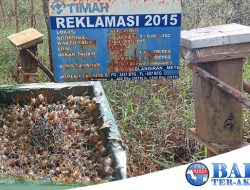 Komunitas Madu Teran Manfaatkan Lahan Reklamasi PT Timah Tbk Untuk Ternak Madu