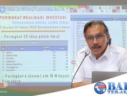 Pemprov Babel Siap Mendukung Investor untuk Berinvestasi