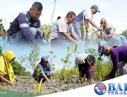 PT Timah Tbk Galakkan Penanaman Mangrove Mewujudkan Net Zero Emission