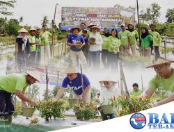 PT TAM Mengembangkan Perkebunan Cabai, Kurangi Ketergantungan Impor Bahan Pangan di Babel