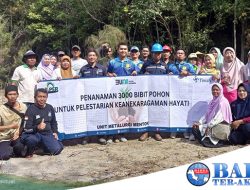 Upaya Menjaga Kelestarian Kawasan Wisata Bukit Kukus, Pokdarwis Bukit Kukus dan PT Timah Tbk Tanam 3000 Pohon