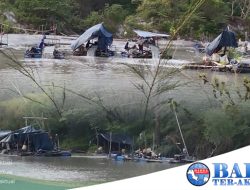 Hutan Lindung Pantai Desa Bedukang Digasak Puluhan Ponton Isap