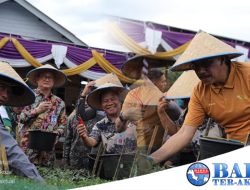 Panen Cabai Merah Pj Gubernur: Mendorong Masyarakat Lebih Bersemangat Bertani