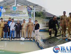 Lahan Bekas Galian Timah Hasilkan Setengah Ton Ikan Air Tawar