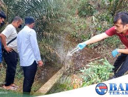 Polres Bangka Barat Pastikan Jenazah di Perkebunan Sawit PT BPL adalah Hafidzah