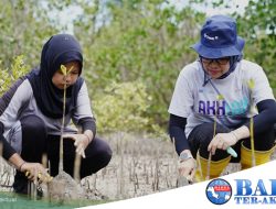 Gerakan Menanam Satu Kebaikan, PT Timah Tbk Tanam Mangrove dan Sukun di Pantai Serdang