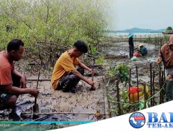 PT Timah Tbk Akan Tanam 7500 Bibit Mangrove di Riau Sebagai Upaya Mecegah Abrasi dan Mitigasi