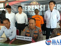 Tim Hantu Sat Narkoba Polres Babar Amankan 2 Kg Ganja, Kapolres: Barangnya Dikirim Lewat JNE