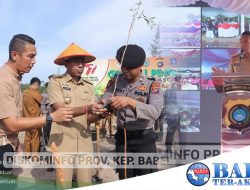 Kondisi Bumi Serumpun Sebalai, Ada 167.104 Hektar Lahan Kritis