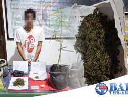 Terciduk Polisi !! RD Kedapatan Membawa Ganja Seberat 28 Gram