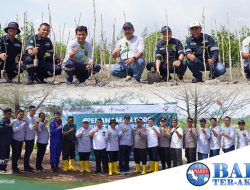 Peringati Hari Mangrove Sedunia, PT Timah Tbk Tanam 5000 Mangrove