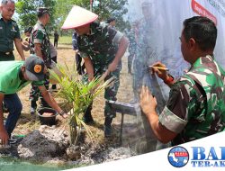 Danrem 045/Gaya Tanam 300 Sagu Bersama KSP di Kabupaten Bangka