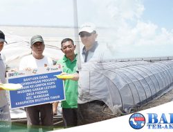 PT Timah Tbk Dorong Peningkatan Produksi Garam di Belitung Timur