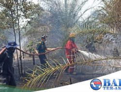 Marak Terjadi Kebakaran Hutan di Babel, PT Timah Tbk Turut Bantu Pemerintah Menangani Kebakaran