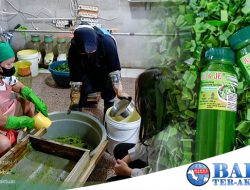 Levaria Kembangkan Usaha Pewarna Makanan, Setelah Jadi Mitra Binaan PT Timah Tbk