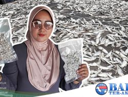 Usaha Perebusan Ikan Asin Dewi Maju Bersama PT Timah Tbk