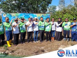 DLH Belitung Bersama PT Timah Tbk Tanam Pohon di Lahan Bekas Tambang