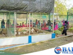 Siswa TK Bina Permata, Belajar dan Mengenal Satwa di Park PT Timah Tbk