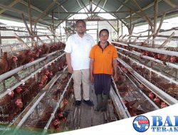 Program PUMK PT Timah Tbk, Niko Mengembangkan Usaha Ayam Petelur dan Toko Kelontong