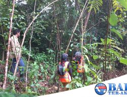 Lewat Program Hutan Kehati, PT Timah Tbk Melestarikan Flora dan Fauna Endemik