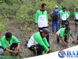 PT Timah Tbk Tanam 12.000 Mangrove untuk Menjaga Eksosistem Pesisir Pantai di Kundur