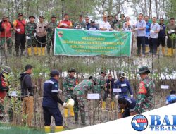 Pt Timah Tbk Bersama Koramil 03 Kundur, Kembali Tanam Mangrove di Kundur