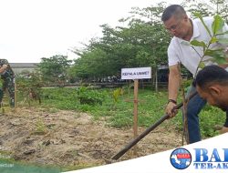 PT Timah Tbk Bersama Kodim 0431 Tanam Mangrove dan Pohon Pucuk Merah di Pantai Teluk Rubiah