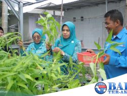 Penjabat (Pj) Ketua TP PKK, Safriati Safrizal Mengapresiasi dan Mendukung KWT dalam Ketahanan Pangan Keluarga