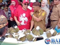 Pesta Makan Durian di Desa Nangka Potensi Tingkatkan Nilai Ekonomi Masyarakat