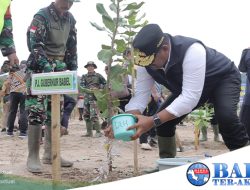 Penanaman Pohon Serentak, Pj Gubernur Safrizal: Hentikan Aktivitas Tambang Ilegal dan Buat Lahan Kritis Menjadi Hijau Kembali