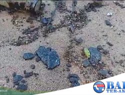 Tumpahan Limbah Hitam di Pesisir Pantai Koba Masih Dikroscek