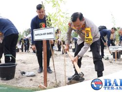 Polda Babel Tanam 2.200 Bibit Pohon Kayu Putih dan Buah-Buahan di Lahan Kritis