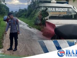 Polsek Jebus Bantu Evakuasi Laka Tunggal Di Jalan Raya Desa Telak