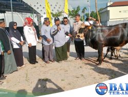 Pj Walikota Lusje Serahkan 12 Hewan Kurban di Masjid Agung Kubah Timah