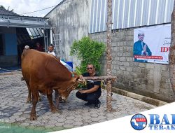 Sebanyak 1000 Paket Hewan Kurban Dibagikan PKS DPC Bateng ke Warga Koba