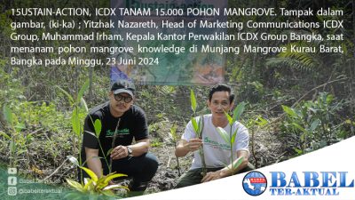 Perkuat Ekosistem Pesisir, ICDX Peringati Ulang Tahun ke-15 Dengan Tanam 15.000 Pohon Mangrove di Bangka