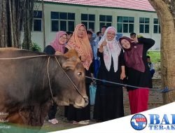 Program Pendidikan Karakter, SMPN 1 Koba Kurbankan 1 Sapi Rayakan Idul Adha