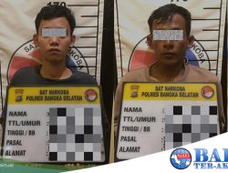 Diduga Pengedar Sabu 2 Pemuda Diamankan Polres Basel di Kebun Sawit